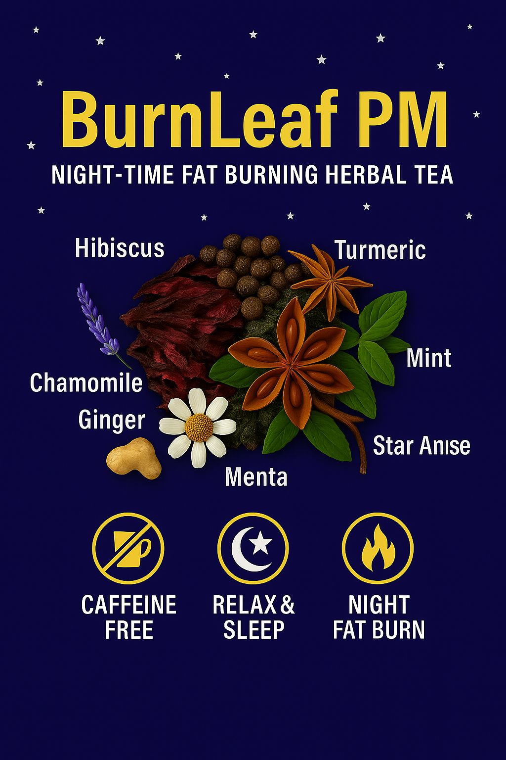 BurnLeaf PM – Night Time Fat Burning Herbal Tea